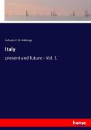 Italy di Antonio C. N. Gallenga edito da hansebooks