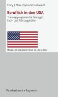 Beruflich in den USA di Emily Slate, Sylvia Schroll-Machl edito da Vandenhoeck + Ruprecht