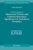 IUTAM Symposium on Elementary Vortices and Coherent Structures: Significance in Turbulence Dynamics edito da Springer Netherlands