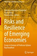 Risks and Resilience of Emerging Economies: Essays in Honour of Professor Ajitava Raychaudhuri edito da SPRINGER NATURE