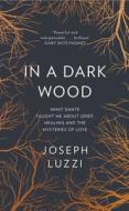 In a Dark Wood di Joseph Luzzi edito da HarperCollins Publishers