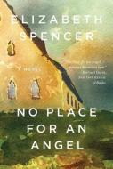 No Place for an Angel - A Novel di Elizabeth Spencer edito da W W Norton & Co Ltd