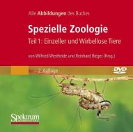 Bild-DVD, Spezielle Zoologie, Teil 1: Einzeller Und Wirbellose Tiere: Alle Abbildungen Des Buches edito da Spektrum Akademischer Verlag