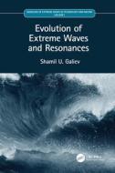 Evolution Of Extreme Waves And Resonances di Shamil U. Galiev edito da Taylor & Francis Ltd