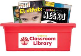 Fourth Grade 50 Book Spanish Classroom Library di Seahorse Crabtree and Publishing edito da Crabtree Publishing Company