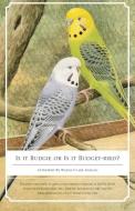 Is It Budgie or Is It Budget-Bird? di Wayne Clark Kahlan edito da FRIESENPR