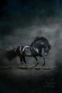 Stallion Journal: Horse (Notebook, Diary, Blank Book) 6x9 di Cheryl Casey edito da Createspace Independent Publishing Platform