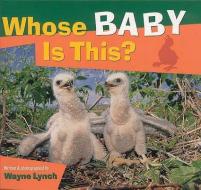 Whose Baby Is This? di Wayne Lynch edito da WHITECAP BOOKS