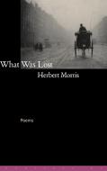What Was Lost di Herbert Morris edito da Counterpoint