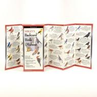 Sibley's Backyard Birds of the Upper Midwest di David Allen Sibley edito da Steven M. Lewers & Associates