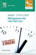 Last Minute Bildgebende Verfahren di Martin Maurer, Edzard Wiener edito da Urban & Fischer/Elsevier