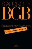 Eckpfeiler Des Zivilrechts di Michael Martinek edito da Walter de Gruyter