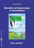 Storchennest in Gefahr / Silbenhilfe. Begleitmaterial di Susanne Gugeler edito da Hase und Igel Verlag GmbH