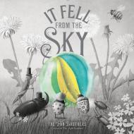IT FELL FROM THE SKY di ERIC FAN edito da QUARTO PUBLISHING GROUP