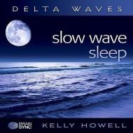 Slow Wave Sleep di Kelly Howell edito da Brain Sync
