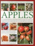 Illustrated World Encyclopedia of Apples di Andrew Mikolajski edito da Anness Publishing