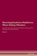 Reversing Erythema Multiforme Minor: Kidney Filtration The Raw Vegan Plant-Based Detoxification & Regeneration Workbook  di Health Central edito da LIGHTNING SOURCE INC
