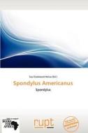 Spondylus Americanus edito da Rupt