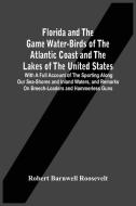 Florida And The Game Water-Birds Of The Atlantic Coast And The Lakes Of The United States di Barnwell Roosevelt Robert Barnwell Roosevelt edito da Alpha Editions