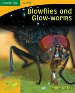 Pobblebonk Reading 4.4 Blowflies And Glow Worms di Dianne Bates edito da Cambridge University Press