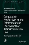 Comparative Perspectives on the Enforcement and Effectiveness of Antidiscrimination Law edito da Springer International Publishing