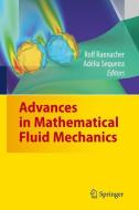 Advances in Mathematical Fluid Mechanics edito da Springer-Verlag GmbH