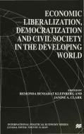 Economic Liberalization, Democratization and Civil Society in the Developing World di #Clark,  Janine A. edito da SPRINGER NATURE