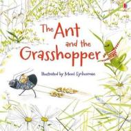 The Ant and the Grasshopper di Lesley Sims edito da Usborne Publishing Ltd