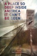 A Place So Deep Inside America It Can't Be Seen di Kari Gunter-Seymour edito da LIGHTNING SOURCE INC