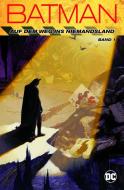 Batman 01: Auf dem Weg ins Niemandsland di Chuck Dixon, Dennis Neil, Jim Aparo edito da Panini Verlags GmbH