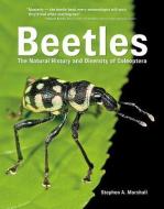 Beetles di Stephen A. Marshall edito da Firefly Books Ltd