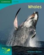 Pobblebonk Reading 5.5 Whales di Dianne Bates edito da Cambridge University Press