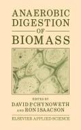 Anaerobic Digestion of Biomass edito da Springer Netherlands