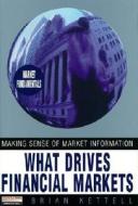 What Drives Financial Markets di Brian B. Kettell edito da Pearson Education Limited