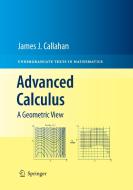 Advanced Calculus di James J. Callahan edito da Springer New York