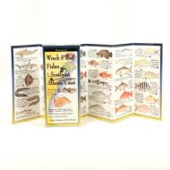 Wreck & Reef Fishes of the Se ATL. Cst. di Val Kells edito da Steven M. Lewers & Associates