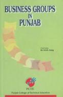 Business Groups in Punjab edito da New Century Publications