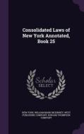 Consolidated Laws Of New York Annotated, Book 25 di New York, William Mark McKinney edito da Palala Press