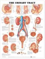 The Urinary Tract Anatomical Chart edito da Anatomical Chart Co.