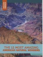 The 12 Most Amazing American Natural Wonders di Rebecca Rowell edito da Black Rabbit Books