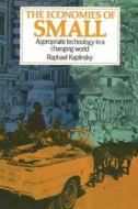 Economies of Small di Raphael Kaplinsky edito da Practical Action Publishing