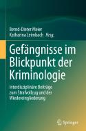 Gefängnisse im Blickpunkt der Kriminologie edito da Springer-Verlag GmbH