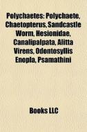 Polychaetes: Polychaete, Chaetopterus, S di Books Llc edito da Books LLC, Wiki Series