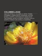 Columbellidae: Pyrene, Mitrella, Alia Carinata, Amphissa, Amphissa Versicolor di Source Wikipedia edito da Books Llc