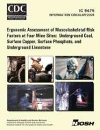 Ergonomic Assessment of Musculoskeletal Risk Factors at Four Mine Sites: Underground Coal, Surface Copper, Surface Phosphate, and Underground Limeston di William J. Wiehagen, Fred C. Turin, Centers for Disease Control and Preventi edito da Createspace