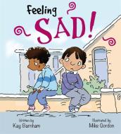 Feelings and Emotions: Feeling Sad di Kay Barnham edito da Hachette Children's Group