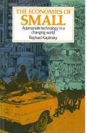 Economies of Small di Raphael Kaplinsky edito da Practical Action Publishing