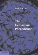 The Detonation Phenomenon di John H. S. Lee edito da Cambridge University Press