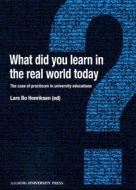 What Did You Learn in the Real World Today? edito da Aalborg University Press