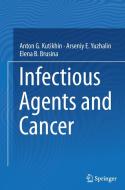 Infectious Agents and Cancer di Elena B. Brusina, Anton G. Kutikhin, Arseniy E. Yuzhalin edito da Springer Netherlands